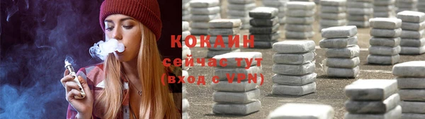 твердый Чекалин