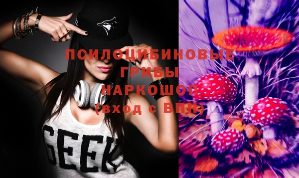 твердый Чекалин