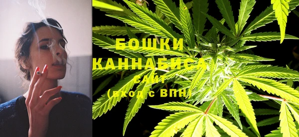 твердый Чекалин