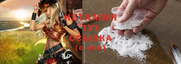 твердый Чекалин