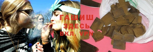 твердый Чекалин