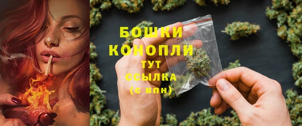 твердый Чекалин