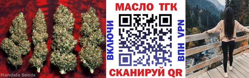 Купить закладки  Осташков  ТГК жижа 